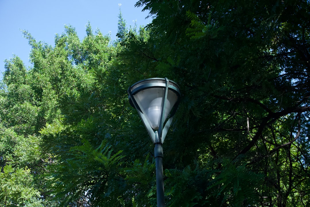 a-street-lamp-surrounded-by-lush-green-trees-fe0n-e4lqpy